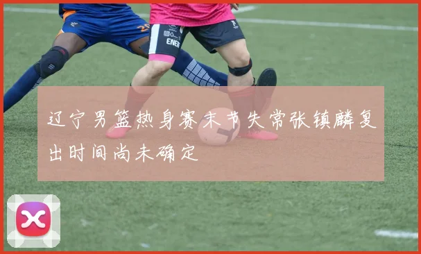 辽宁男篮热身赛末节失常张镇麟复出时间尚未确定